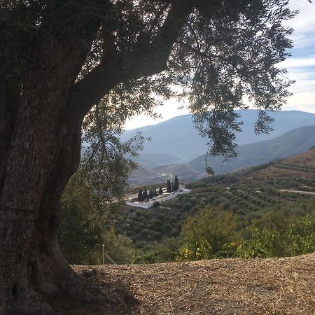 Jardin Andaluz Appart Alhambra Pinos del Valle Exterior foto