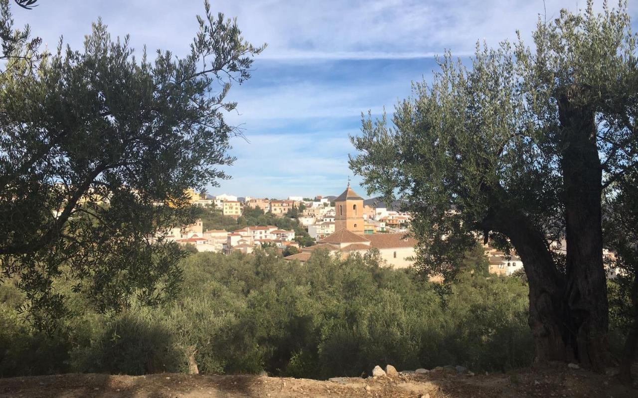 Jardin Andaluz Appart Alhambra Pinos del Valle Exterior foto